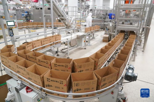 当冰淇淋遇到智能制造 探访日产900万支冰淇淋的灯塔工厂