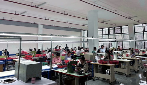 习水骏华鞋厂 打造爱心生产车间，托起残疾人稳稳的幸福——录音制作纪实